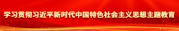 女生的鸡鸡免费看学习贯彻习近平新时代中国特色社会主义思想主题教育